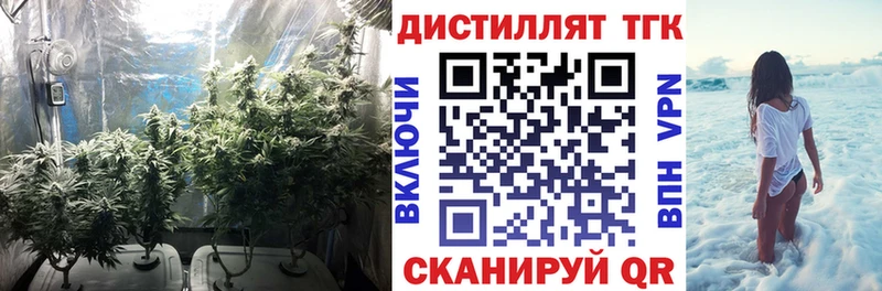 Дистиллят ТГК THC oil  магазин продажи   Заволжье 
