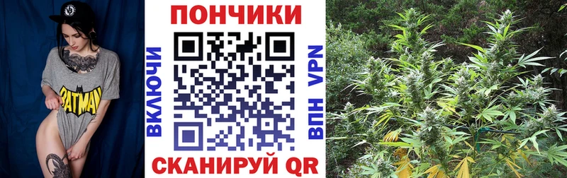 продажа наркотиков  Заволжье  Канабис планчик 
